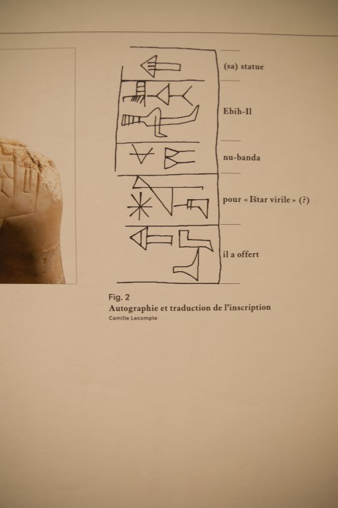 8111359910_6159c5061c_o