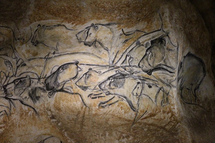 lions-chauvet-pont-darc