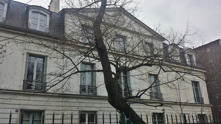 20170108_153503_richtonehdr