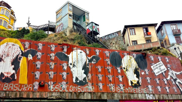 20170506_111056_Richtone(HDR)